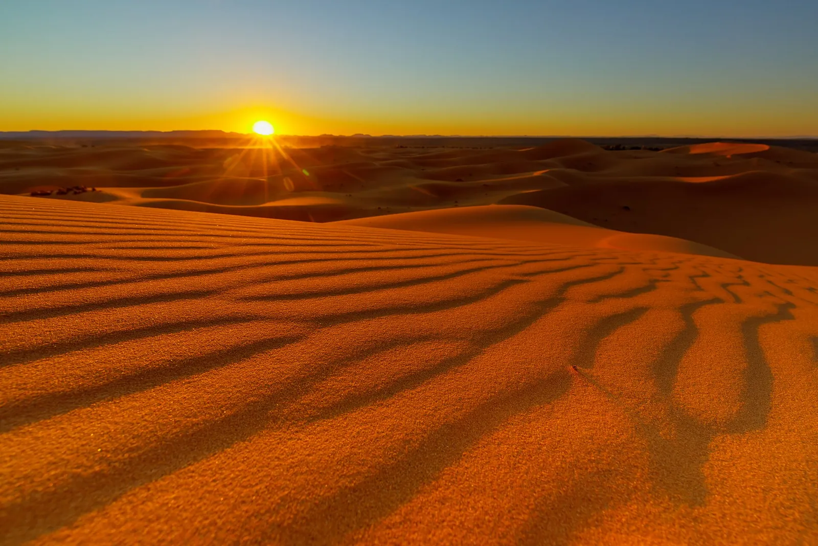 Balade à dos de chameau dans les dunes de Merzouga au coucher du soleil, voyage organisé depuis Agadir - 2